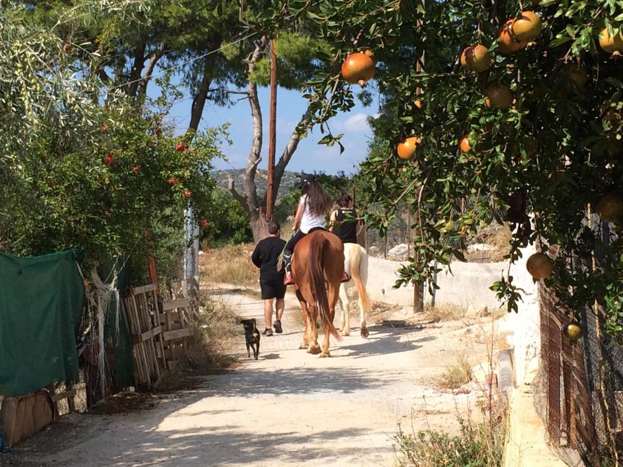 Perivoli Country Hotel & Retreat Nafplio Luaran gambar