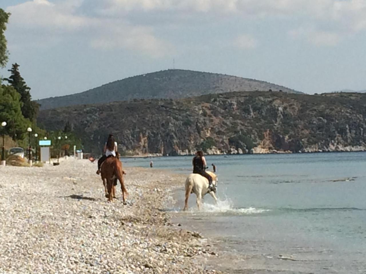 Perivoli Country Hotel & Retreat Nafplio Luaran gambar